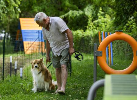 Dog Agility Bereich