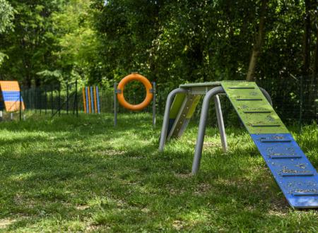 Dog Agility Bereich